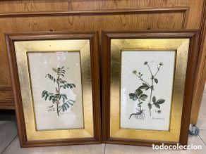 Otros objetos de arte: Lote de 2 aguafuertes antiguos,certificado